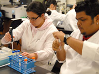 Students in Lab