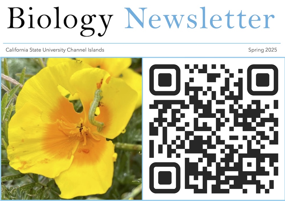 News Letter Cover Image